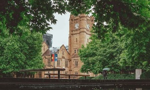 newly arriving vietnamese international students in australia drop over 40%