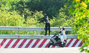 Many visitors pick wild sunflowers, break branches at Ba Vi National Park