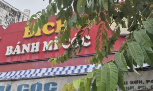 Salmonella bacteria sickens 316 after eating banh mi