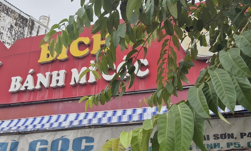 Salmonella bacteria sickens 316 after eating banh mi