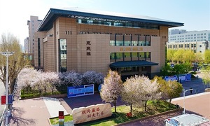 China pilots doctorate program without dissertations