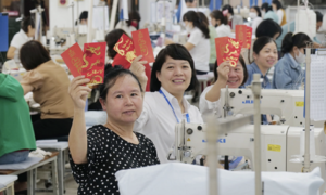 Deadline for Tet bonus and salary reports: December 25