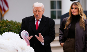 President Trump pardons turkeys in traditional White House ceremony