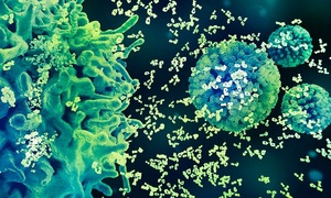 Proactive HPV prevention helps reduce the burden of cervical cancer