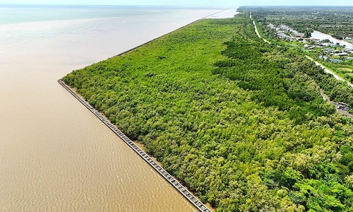 Ca Mau builds dike to 'reduce waves from afar' to protect sea dike