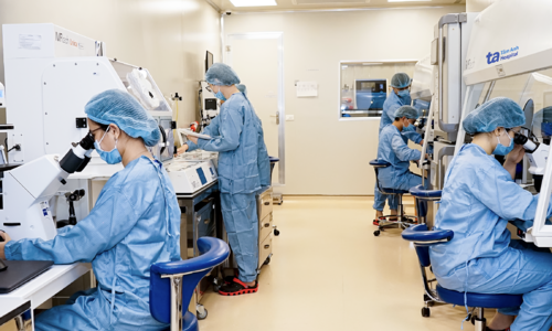 From Germany to Vietnam: successful in vitro fertilization