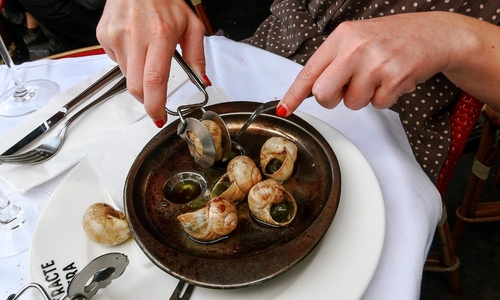 French escargot: A culinary specialty
