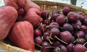 Eating tips to help those losing weight avoid sugar cravings