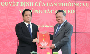Deputy chief of the national assembly office appointed deputy head of hanoi party committee's propaganda and mass mobilization department