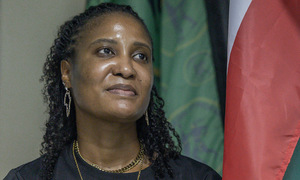 South African MP accused of recruiting mercenaries to fight in Ukraine