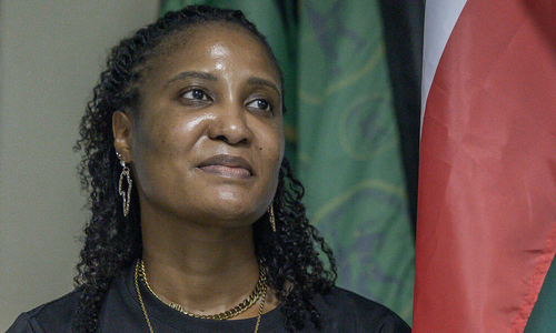 South African MP accused of recruiting mercenaries to fight in Ukraine