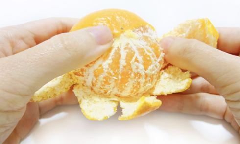 Unexpected benefits of the white fibers in oranges and tangerines