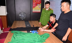 Car windows smashed, property stolen overnight