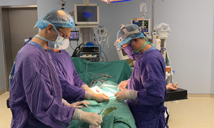 Unusual bodily signs warn of infertility risk