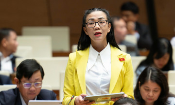 National Assembly representatives warn of radiation risks from rare earth mining