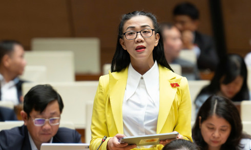 National Assembly representatives warn of radiation risks from rare earth mining