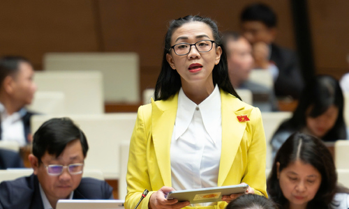 National Assembly representatives warn of radiation risks from rare earth mining