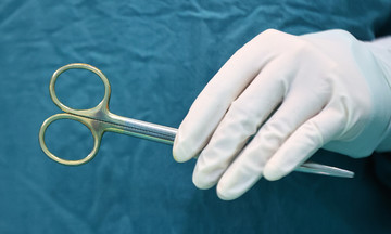 Two-year-old child bitten by family dog, sustaining lip and ear injuries