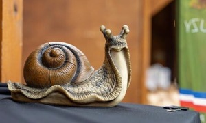 Farm break-in: over 100,000 USD worth of snails stolen