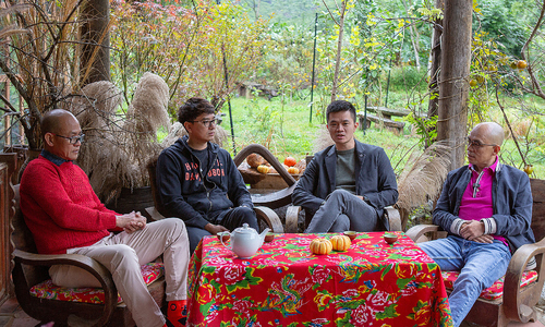 Are hybrid or pure electric vehicles suitable for the Vietnamese market?