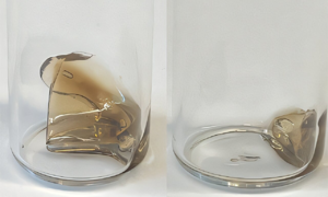 US invents 'timed' self-destructing plastic