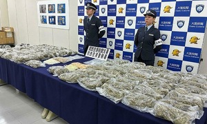 Two Vietnamese individuals indicted for bringing over 30 kg of cannabis into Japan