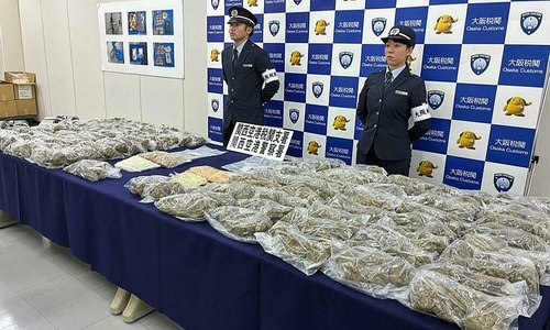 Two Vietnamese individuals indicted for bringing over 30 kg of cannabis into Japan
