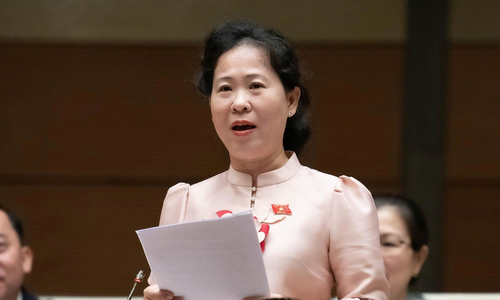 Delegate To Ai Vang: call for increased healthy lifespan for men