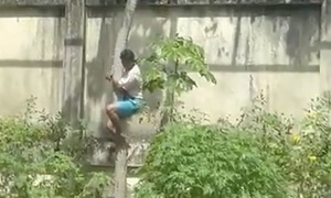 Young man dies after climbing into lion enclosure