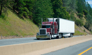 Staples Vegetables partners with Solum Partners to enhance cold chain