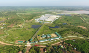 Greenfeed maintains growth momentum