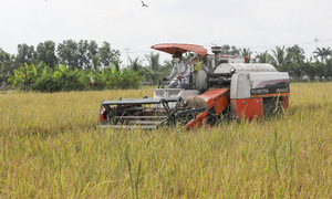 Vietnam targets regionally leading agricultural enterprises
