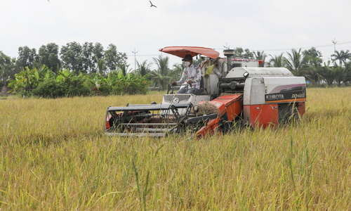 Vietnam targets regionally leading agricultural enterprises