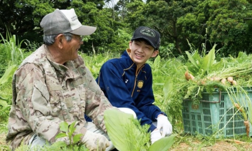 The eating rule that helps Japanese people achieve longevity
