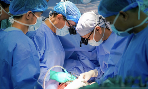 9-year-old boy revived by brain-dead donor's heart