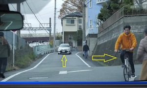 How do driving simulations in Japan differ from Vietnam?