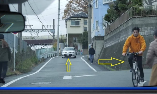 How do driving simulations in Japan differ from Vietnam?