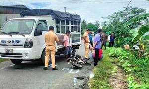 Investigation suspended for driver in Vinh Long student's death
