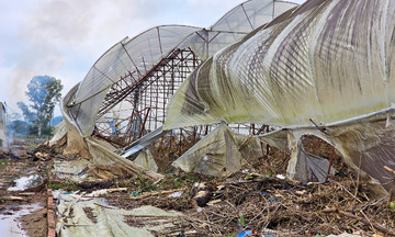 Lam Dong's vegetable hub devastated after flood