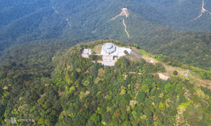 International interest in purchasing Vietnam's forest carbon credits