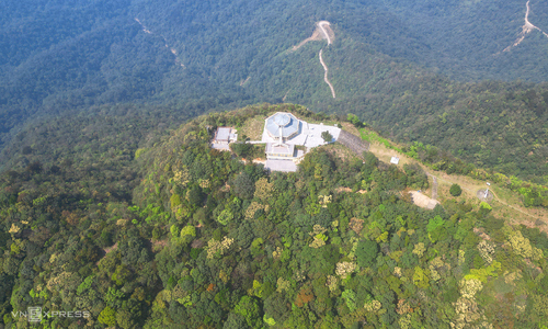 International interest in purchasing Vietnam's forest carbon credits