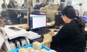 Drivers face protracted wait for physical driver's licenses