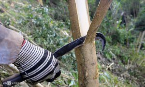 owners of highly dangerous knives face fines if others use them to commit crimes