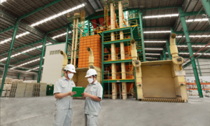 Greenfeed among top 100 best workplaces in Southeast Asia