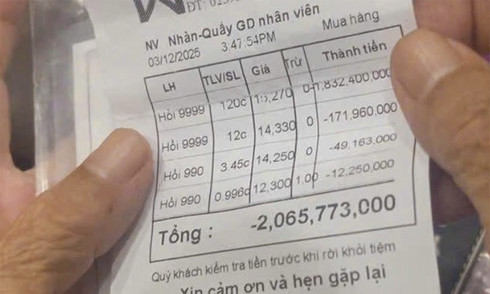 Elderly woman nearly loses 2 billion Vietnamese dong after believing call about 'son's accident'