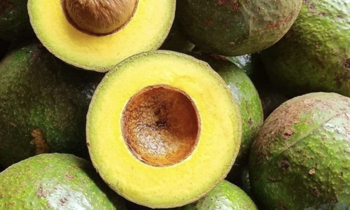 7 foods that naturally reduce visceral fat