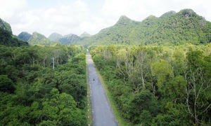 Hai Phong expects to earn hundreds of millions of USD from carbon trading