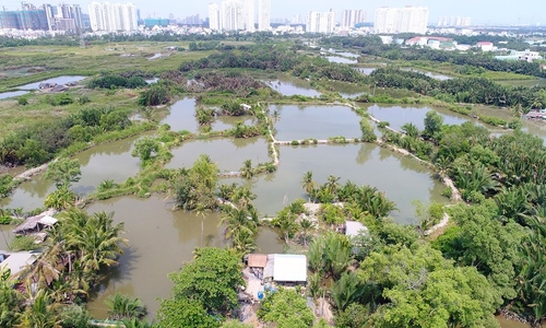 Quoc Cuong Gia Lai seeks to sell subsidiary to repay Truong My Lan-related debt