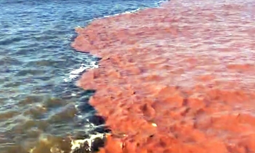 Seawater appears in two colors, stretching for tens of kilometers