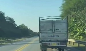 Truck driver fined for suspected 'decoy' behavior on expressway